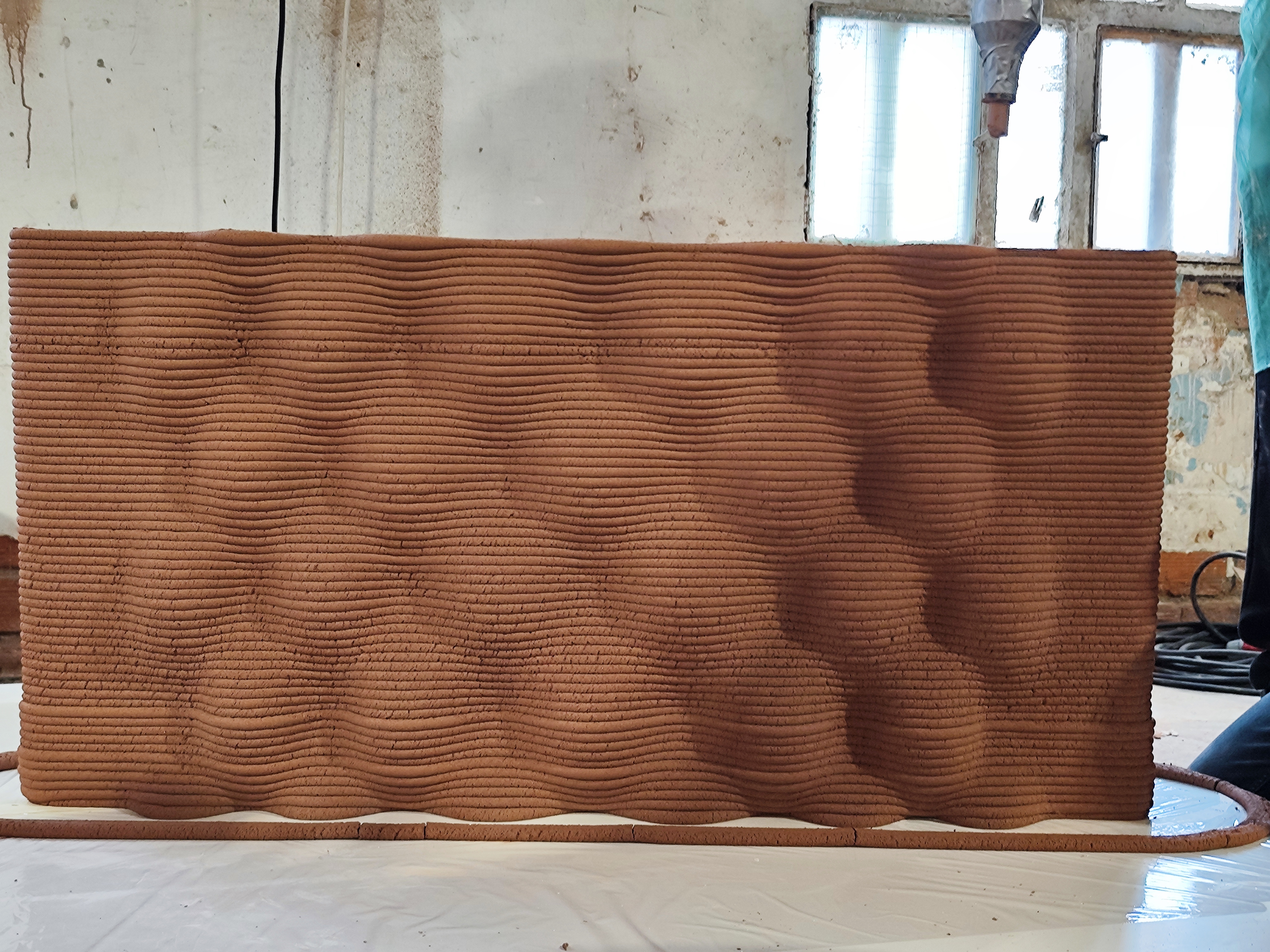 3D Printing Biomaterial